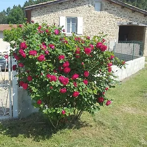 Au Cœur De La Nature Bren
